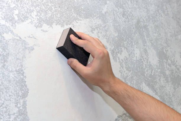Best Water Damage & Mold Remediation  in Manatee Road, FL