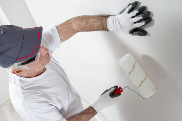 Mold Odor Removal Services in Manatee Road, FL