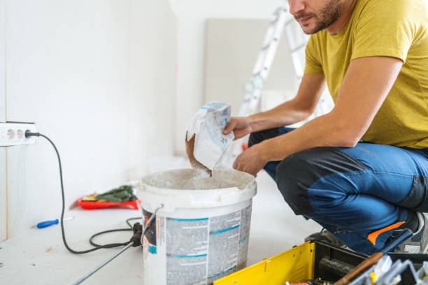 Best Post-Construction Mold Inspection  in Manatee Road, FL
