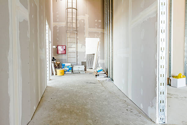Best Mold Removal for HVAC Installations  in Manatee Road, FL