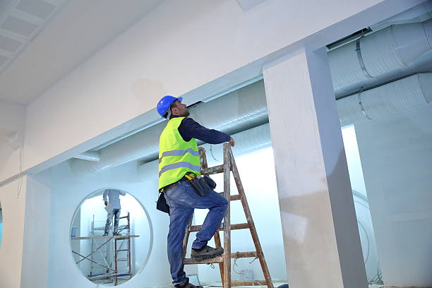 Best Mold Documentation for Insurance Claims  in Manatee Road, FL