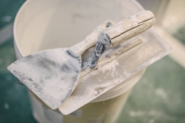 Mold Documentation for Insurance Claims in Manatee Road, FL