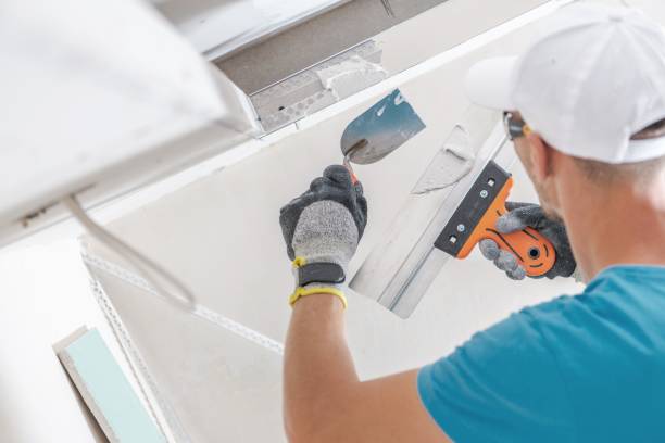 Best Industrial Mold Remediation  in Manatee Road, FL